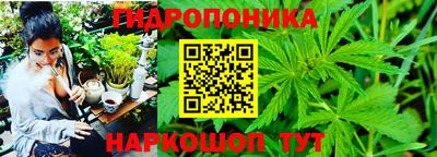 spice Малгобек
