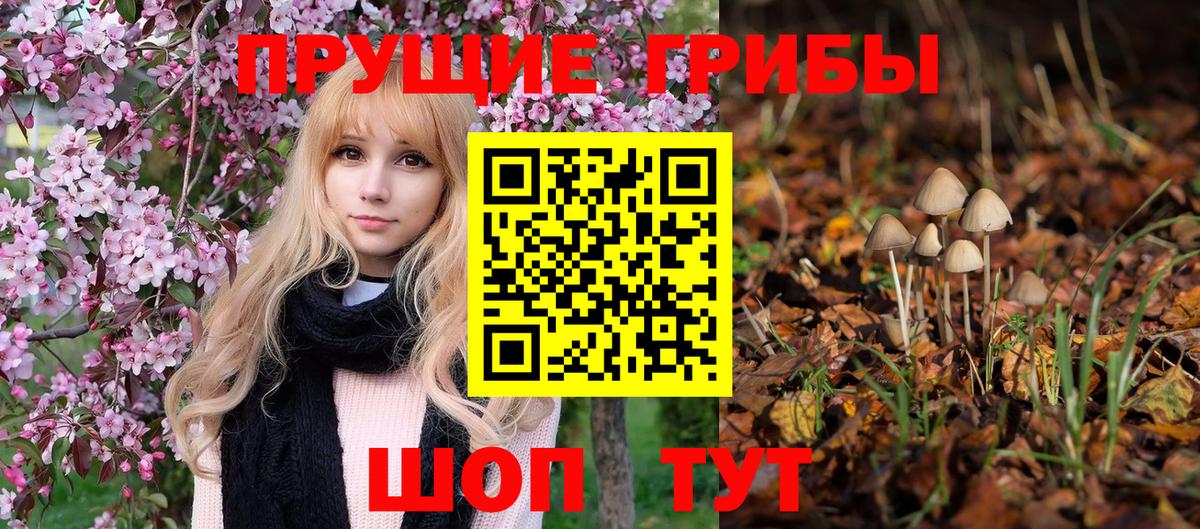 как найти наркотики  Вход с VPN  Семёнов  Галлюциногенные грибы мухоморы  Галлюциногенные грибы мицелий 